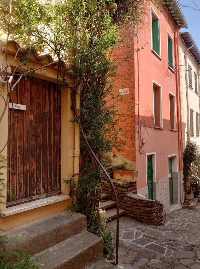 4Rb4 Appartement Type T2 Bord De Mer Acces Plage Direct Collioure Exterior photo